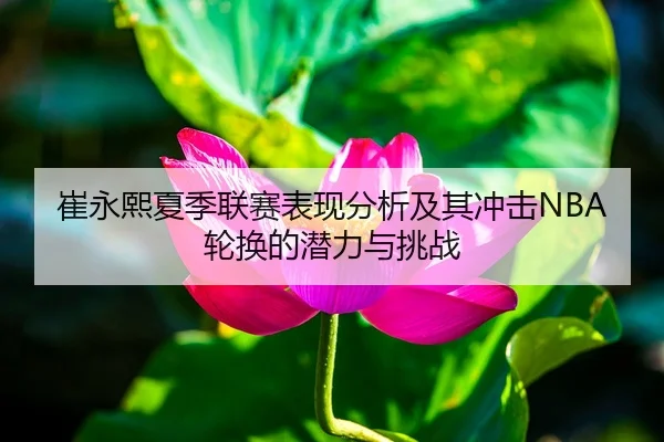 崔永熙夏季联赛表现分析及其冲击NBA轮换的潜力与挑战