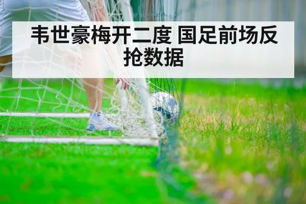 韦世豪梅开二度 国足前场反抢数据
