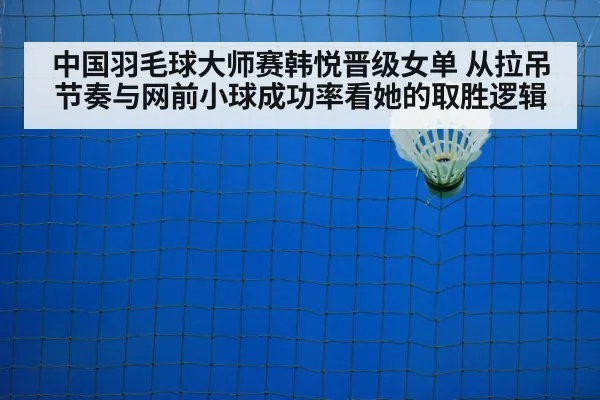 badminton net shot